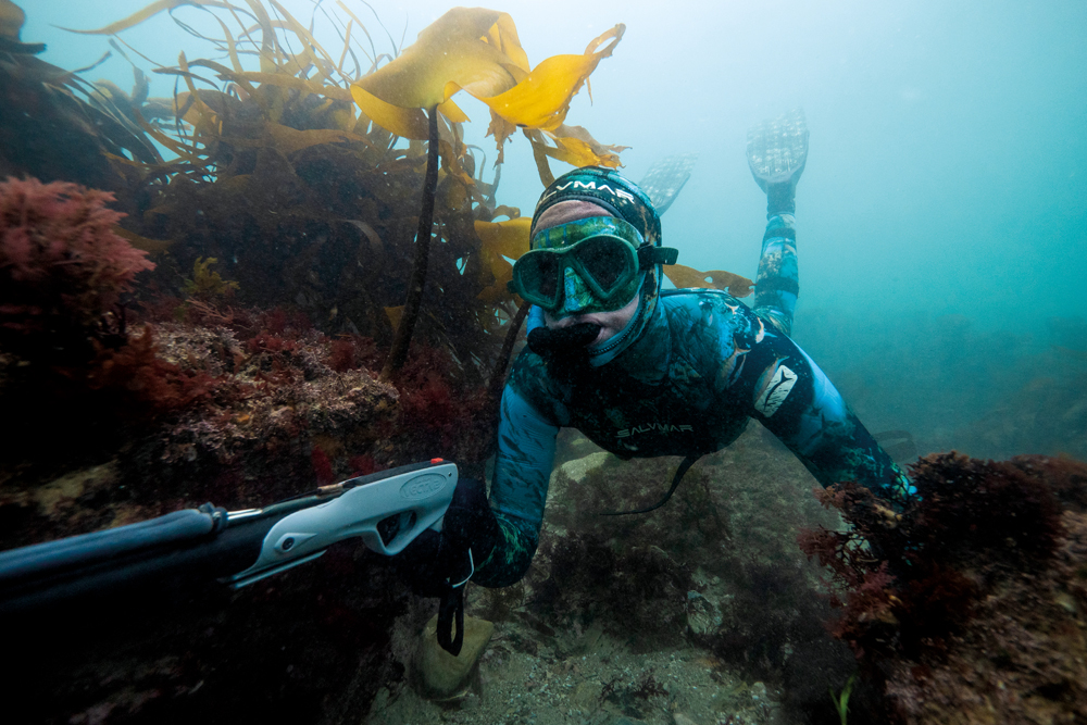 Spearfishing in Falmouth - Coast Magazine