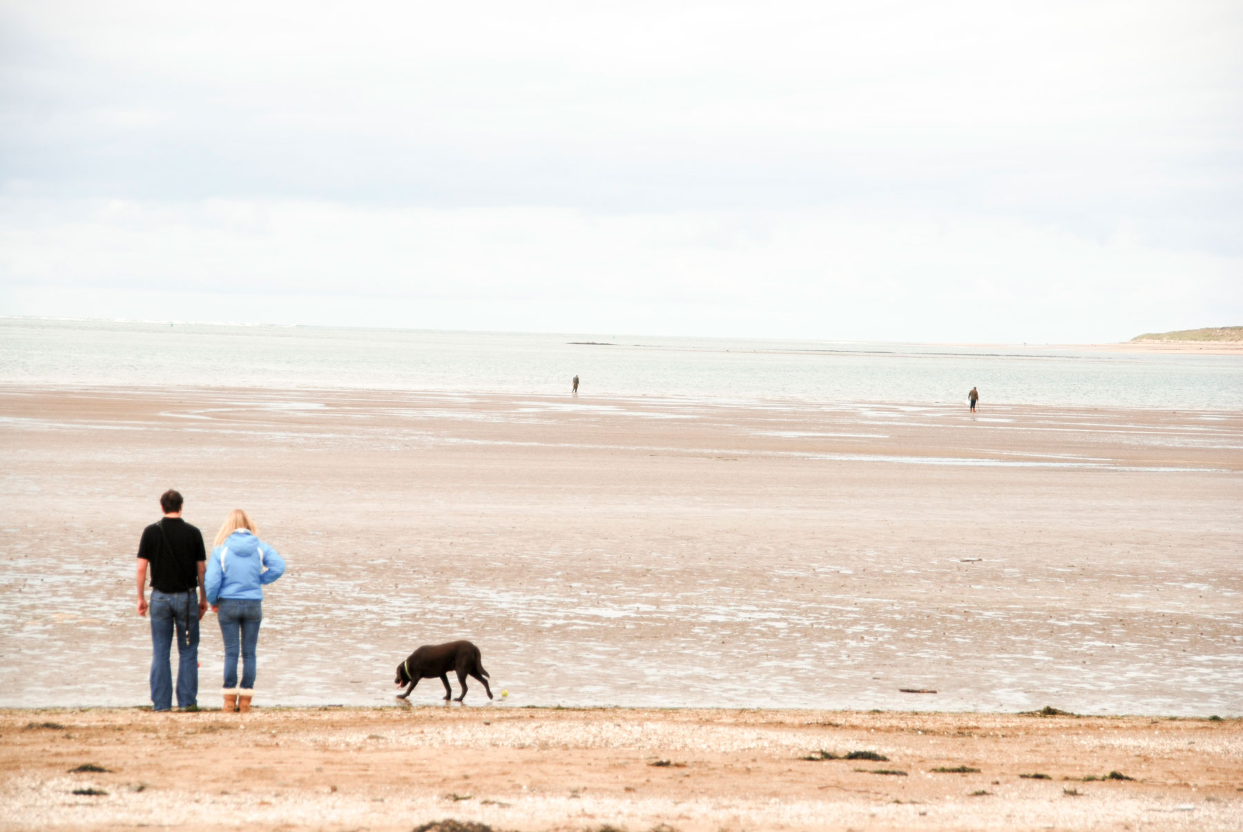 is caister beach dog friendly